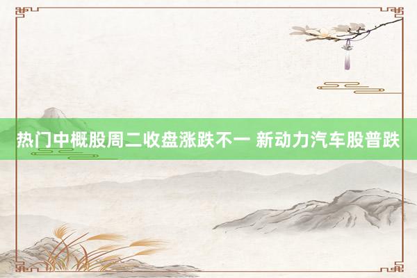 热门中概股周二收盘涨跌不一 新动力汽车股普跌