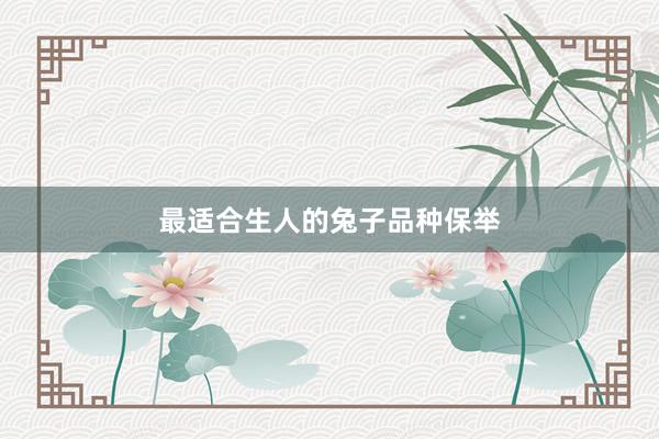 最适合生人的兔子品种保举